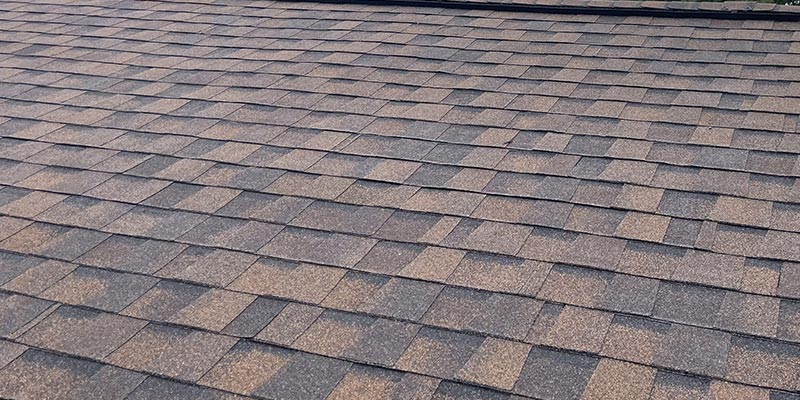 top rated asphalt shingle roof repair and replacement services Palm Coast, FL