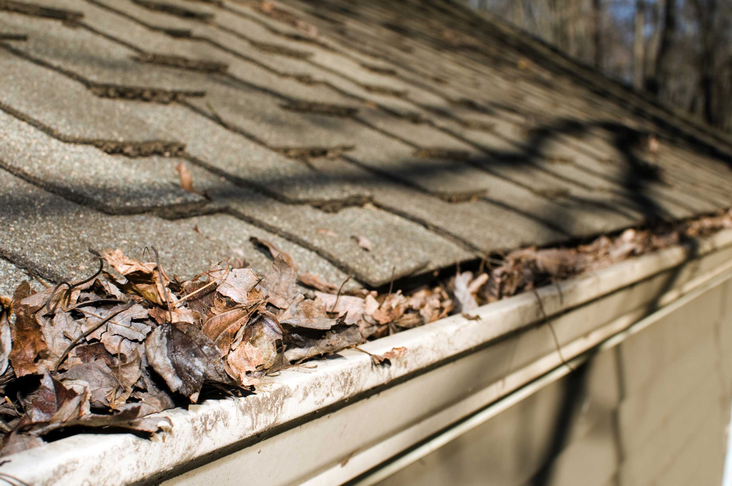 spring roof prep, spring roof maintenance, spring roof damage